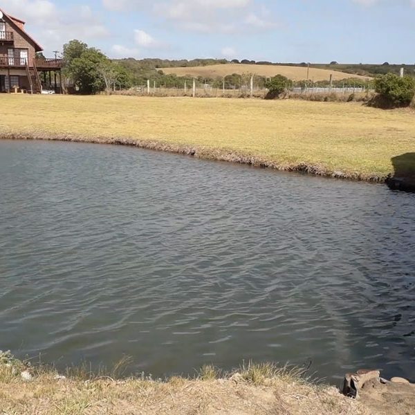 House View from the River